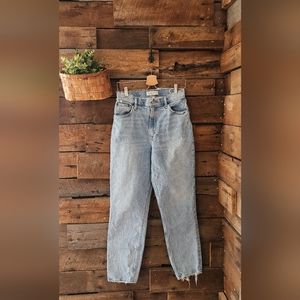 Abercrombie and Fitch Curve Love 90s Ultra High rise Straight Jeans